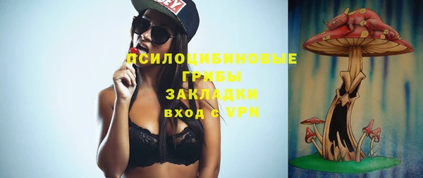 мяу мяу мука Кодинск