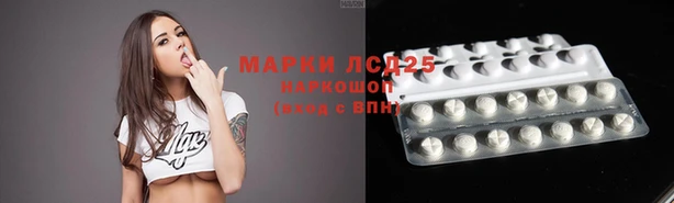 мяу мяу мука Кодинск