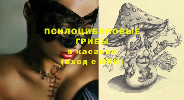 мяу мяу мука Кодинск