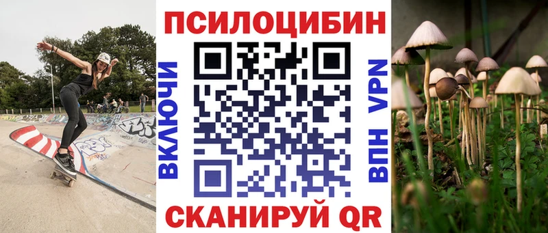 Галлюциногенные грибы Psilocybe  Купить закладки  Выкса 